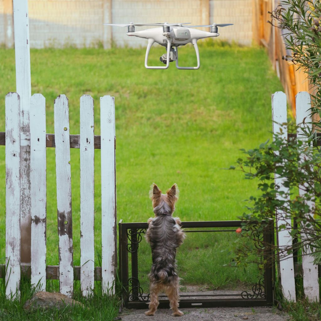 Drones flying over the private property