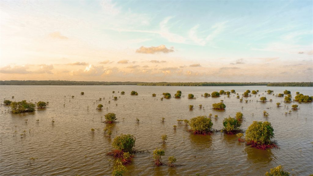 Farmland flooding