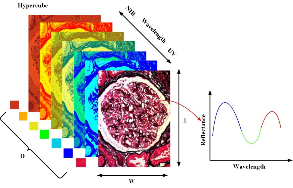 Hyperspectral data cube