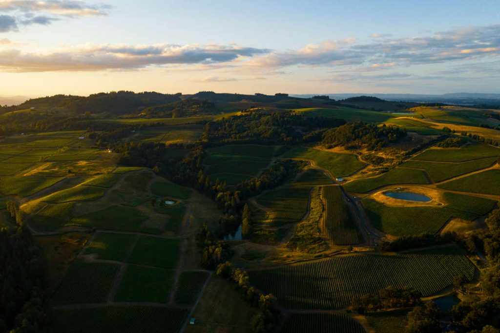 Agriculture landscape