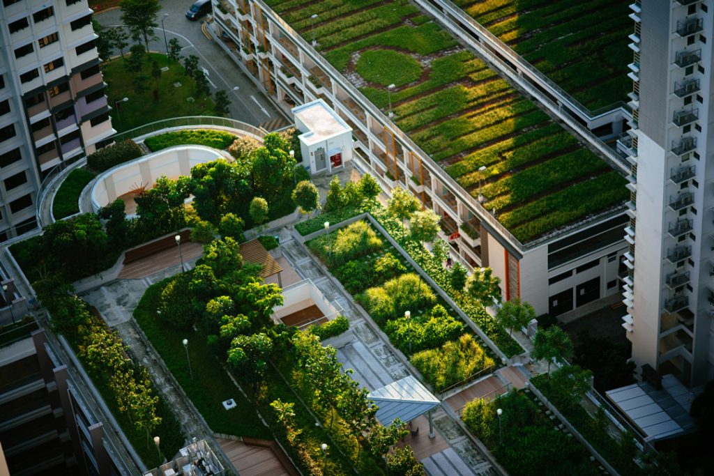 Buildings covered with green plants