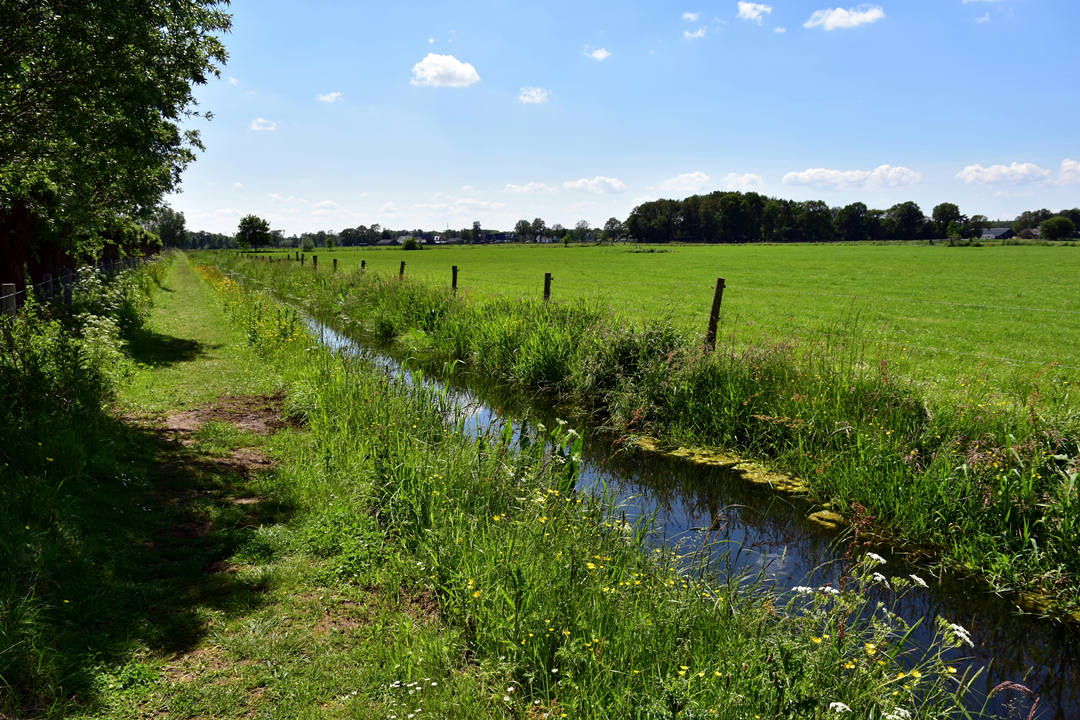 Drainage agriculture