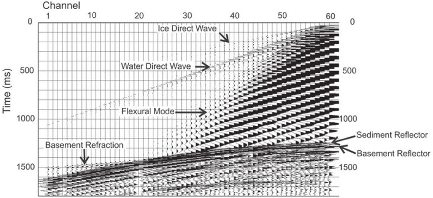 RAW shot record seismic